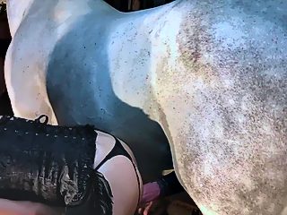 Horse girl sex