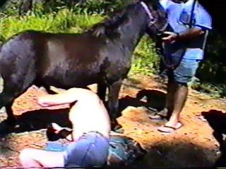 Gay farm beastiality