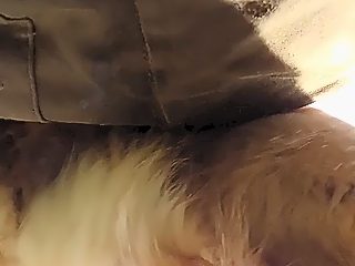 Man sex with dog