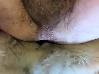Dog man sex at farm